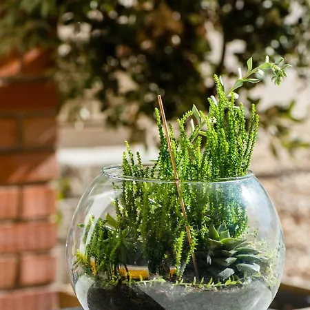 Εξοχικό σπίτι Vale Do Grou Natura *