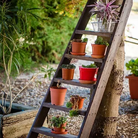 Vale Do Grou Natura Όμπιδος