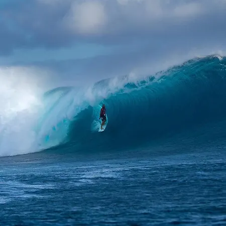 Vale Do Grou Natura Gospodarstwo wiejskie