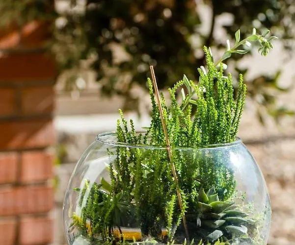 カントリーハウス Vale Do Grou Natura *