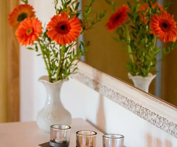 カントリーハウス Vale Do Grou Natura オビドス