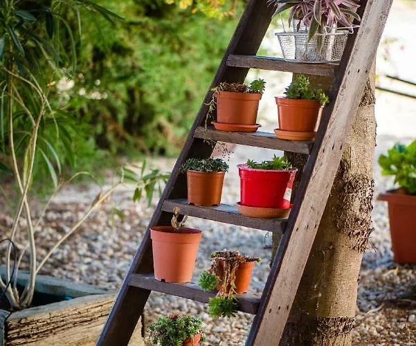 Vale Do Grou Natura オビドス