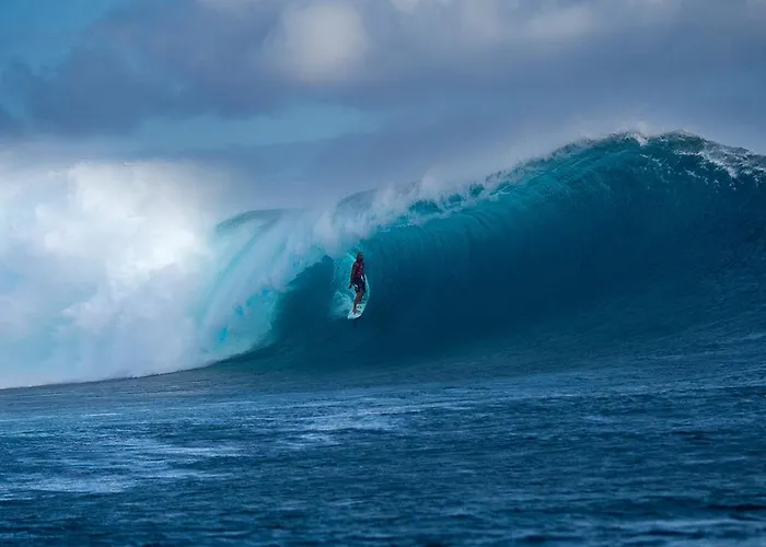 Vale Do Grou Natura カントリーハウス